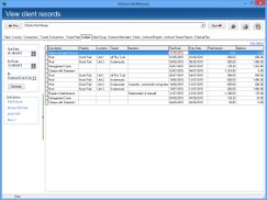 View ledgers by transaction date or entry date